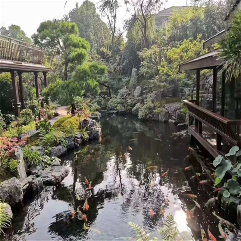 青海假山植物小鱼池